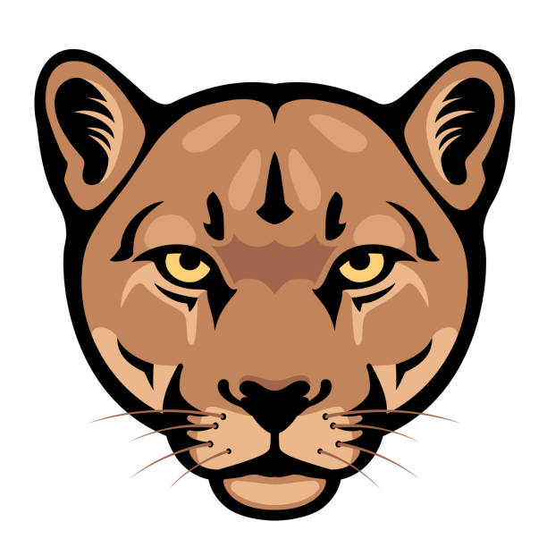голова пума. талисман креативный дизайн. - mountain lion undomesticated cat big cat animal stock illustrations