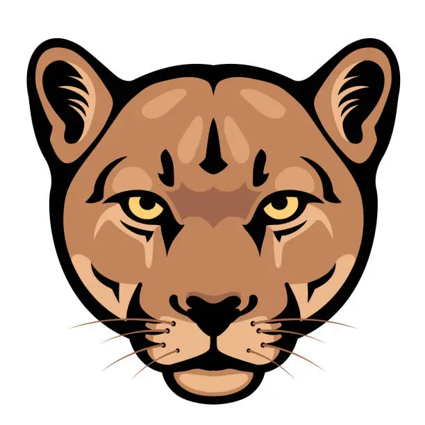 Vector illustration of Puma Head. Mascot Creative Design.