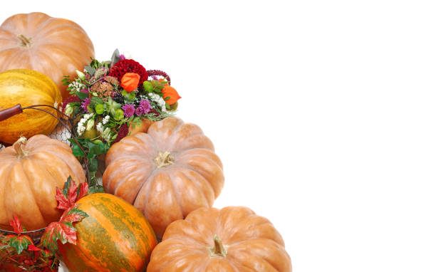istock Set of pumpkins composition  on white background top view 1421948052