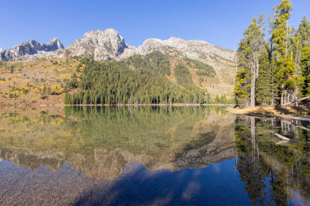 istock Scenic Reflection Landscape in the Tetons in Autumn 1421950253