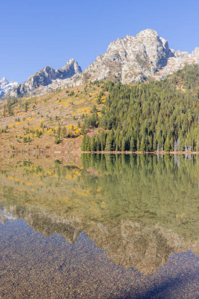 istock Scenic Reflection Landscape in the Tetons in Autumn 1421950303