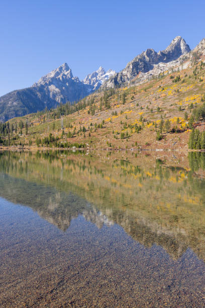 istock Scenic Reflection Landscape in the Tetons in Autumn 1421950304