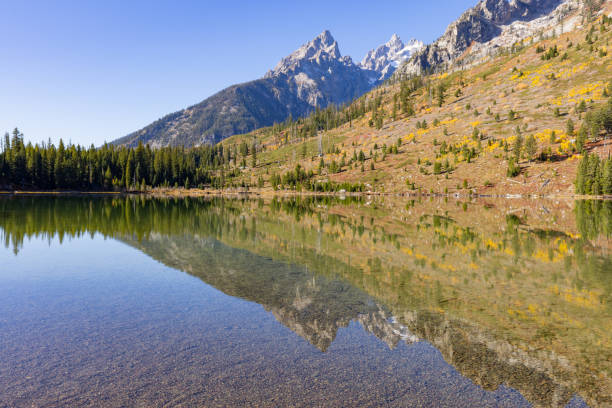 Scenic Reflection Landscape in the Tetons in Autumn