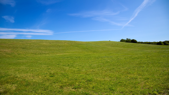 Landscape image of empty green field and clear blue sky.