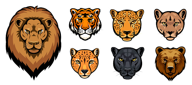 Wild Animal Heads. Mascot Creative Design. Lion, tiger, cheetah, leopard, jaguar, cougar and bear.