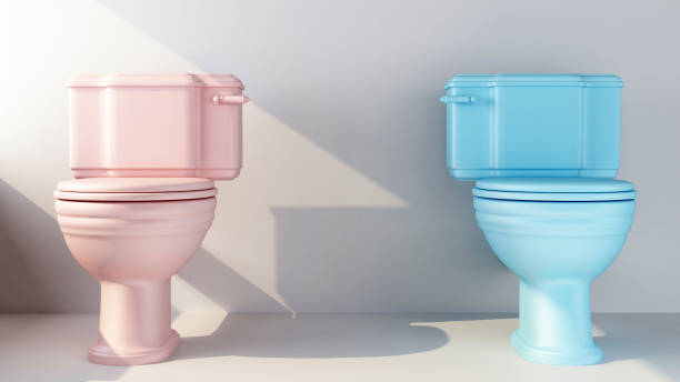 two toilet in pink and blue