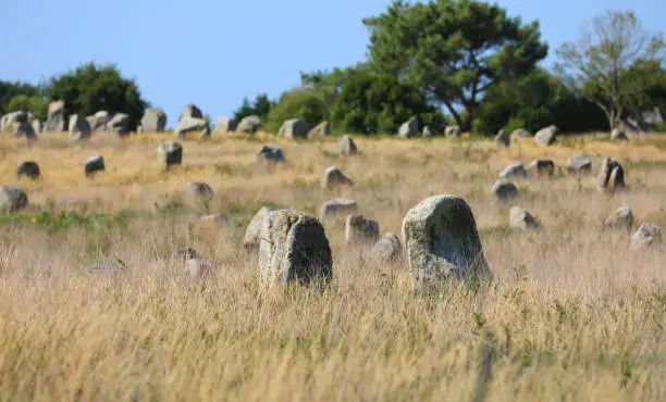 Photo of Menhirs near Carnac in Bretagne Brittany