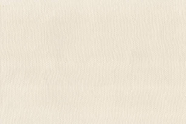istock White color texture pattern abstract background can be use as wall paper screen saver cover page or for winter season card background or Christmas festival card background and have copy space for text 1421959323