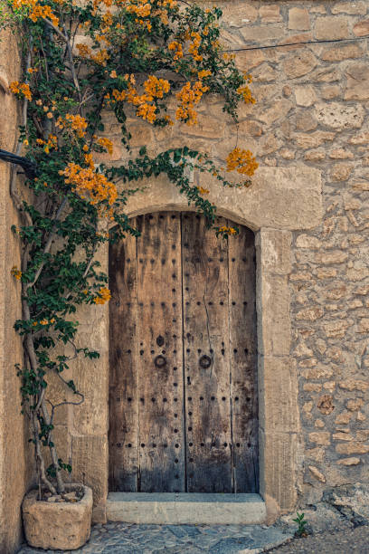 Vintage wooden double doors with ornate metal canopy and potted red flowers on weathered stone steps evoke a welcoming historic charm.