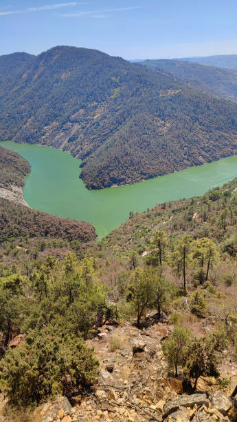 istock Douro Valley - Portugal 1421963355