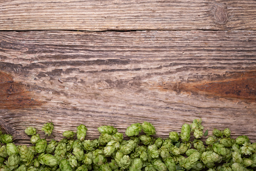 Wooden background. Frame of green hops on rustic old wooden boards. Copy space.