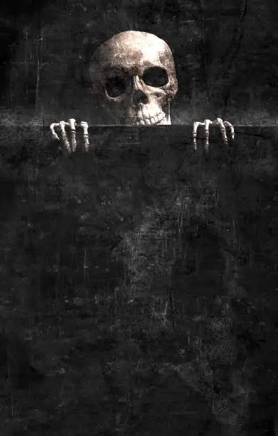 Photo of Skeleton On A Black Grunge Background