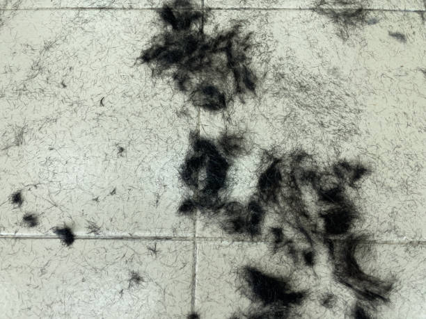istock On the floor in the barber shop. 1421969041