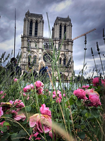This is Notre Dame cathedral