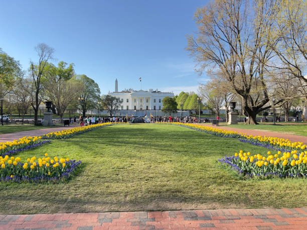 soutien à l’ukraine américaine / parterre de fleurs de couleur drapeau ukrainien devant la maison blanche. - white house president of the usa lafayette square eastern usa photos et images de collection