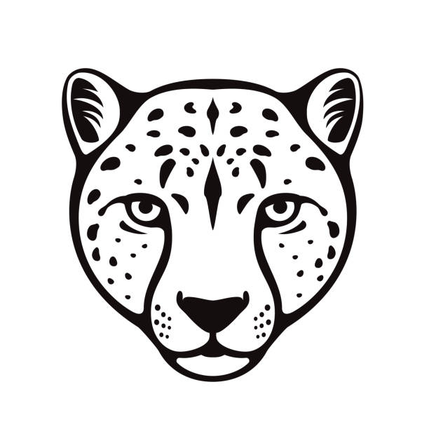 Cheetah Head Tattoo. Mascot Creative Design. Cheetah Head Tattoo. Mascot Creative Design. Big wild cat face. black and white cheetah print stock illustrations