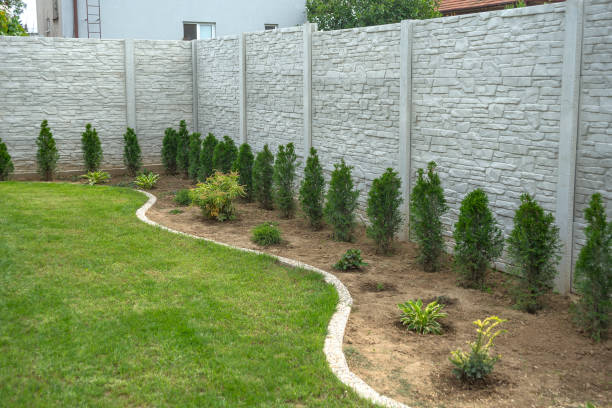 concrete pattern fence with  green thuja - cypress tree fotos imagens e fotografias de stock