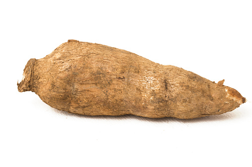 Fresh Cassava root isolated on a white background