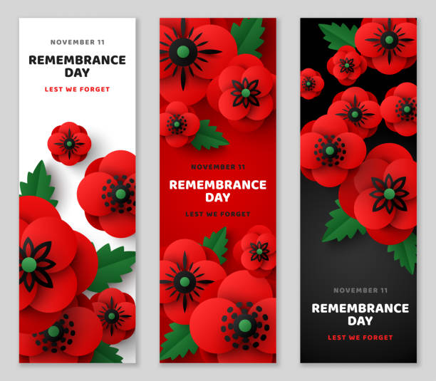 Remembrance Day vertical banner set Remembrance Day vertical banner set, poster template, Memorial Anzac card flyer, paper cut poppy flowers border frame. Vector illustration. Craft floral design. Place for text, Lest we forget remembrance day background stock illustrations