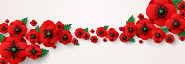 Anzac Memorial Day wallpaper poppy Remembrance Day abstract wallpaper, header template. Memorial card, paper cut poppy flowers, border frame. Vector illustration. Craft spring poster. Place for text. Anzac banner concept design remembrance day background stock illustrations