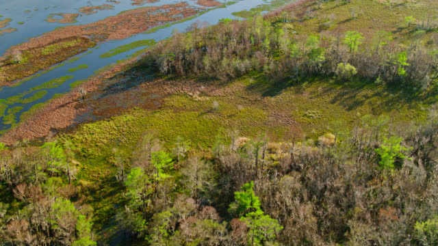 High Angle Aerial View of Nature in Louisiana