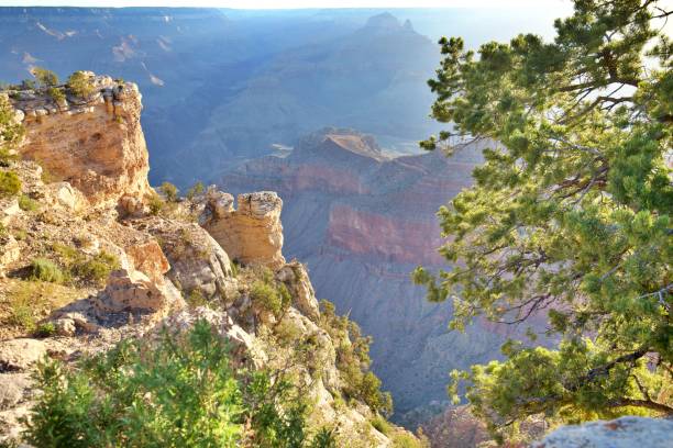 istock Early morning at Grand Canyon 1421990152