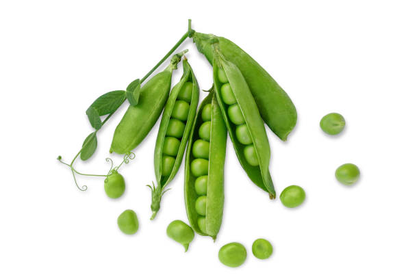 istock Fresh green pea pods and peas isolated on the white background. 1421992196