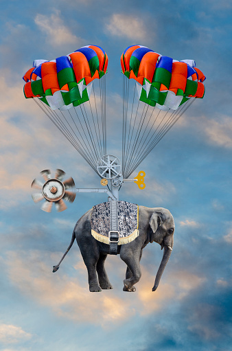 Digitally generated with my photographic images.\n\nTired of grazing for food, an elephant decides to have a little fun and takes flight into the stratosphere.