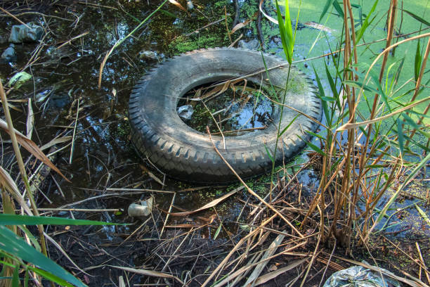 istock Duckweed and plastic, tin, rubber garbage in the river. The concept of the ecological problem of environmental pollution. 1422012336