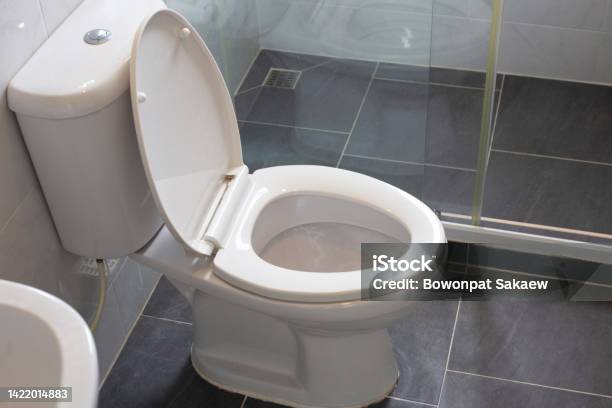 White Toilet Bowl On Floor Stock Photo - Download Image Now - Toilet, Bathroom, No People