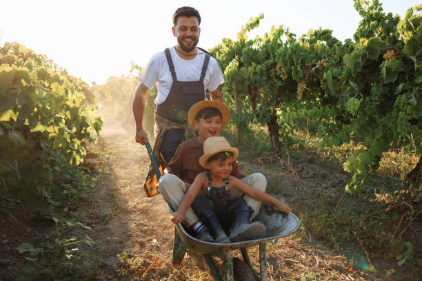 estilo de vida na aldeia é o melhor para nossa família - wheelbarrow playing sibling rural scene - fotografias e filmes do acervo