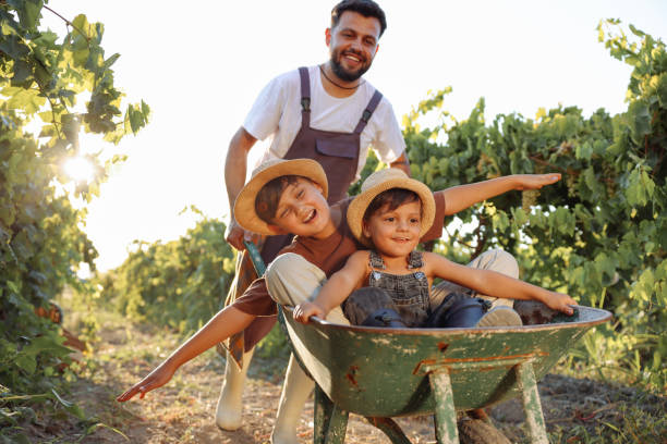 estilo de vida na aldeia é o melhor para nossa família - wheelbarrow playing sibling rural scene - fotografias e filmes do acervo