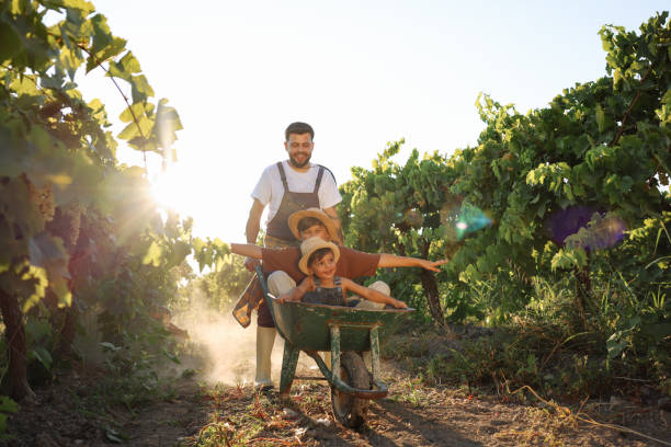 estilo de vida na aldeia é o melhor para nossa família - wheelbarrow playing sibling rural scene - fotografias e filmes do acervo