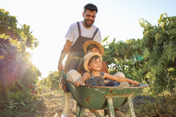 estilo de vida na aldeia é o melhor para nossa família - wheelbarrow playing sibling rural scene - fotografias e filmes do acervo