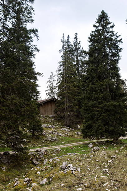 istock Stone Road in the mountains 1422032032