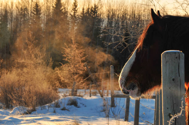 istock Through cool breath of winter 1422032443