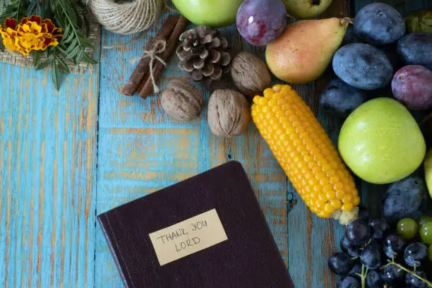 "Thank You, LORD", a handwritten note on a closed Holy Bible Book with fresh autumn fruit on wooden background. Top table view. Christian thanksgiving, gratitude, blessing, and praise concept.