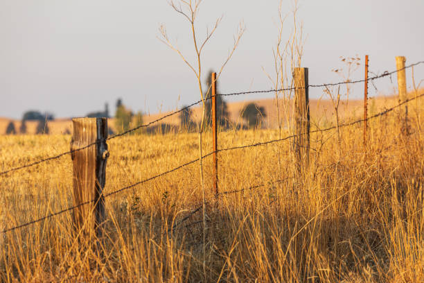 istock Barbed wire fence in the Palouse hills. 1422035106
