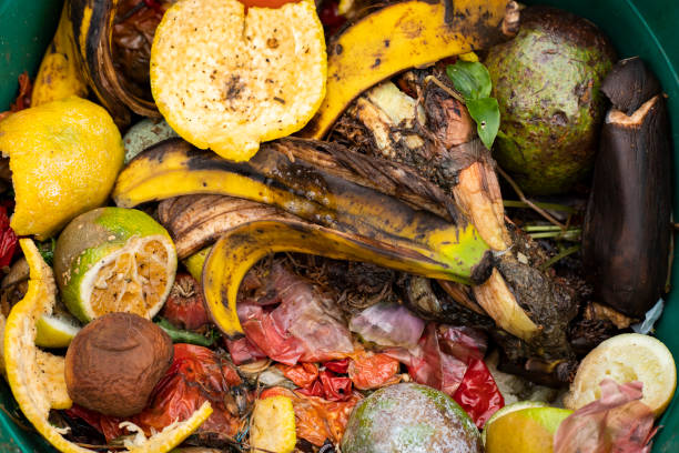 istock Organic waste food leftovers - Fruit and vegetable peelings 1422035460