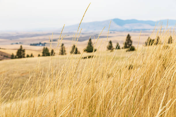 Pacific Northwest roadtrip