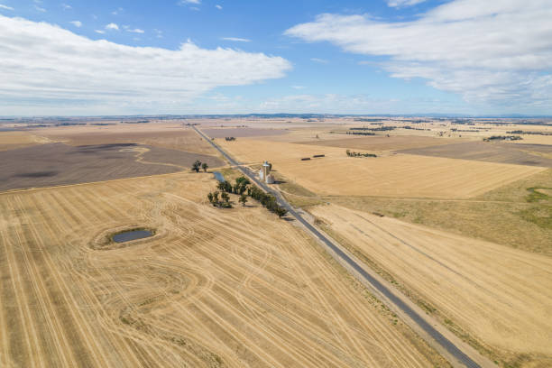 istock The horizon of crops. 1422042539