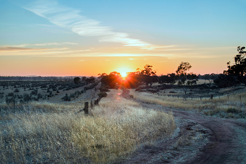 Looking along dirt road in a country setting during sunrise.