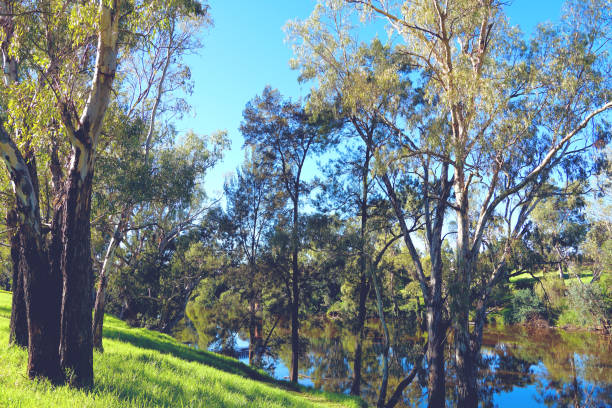 istock Wellington,  New South Wales, Australia 1422046573