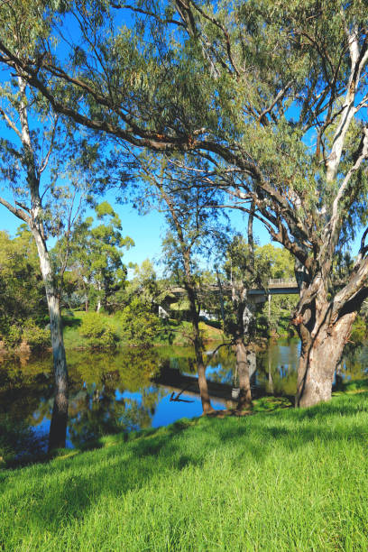 istock Wellington,  New South Wales, Australia 1422047020