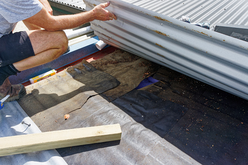 Builder looking under a corrugated iron roof for a water leak. Renovating an old wooden Kiwi villa or bungalow. Aotearoa / New Zealand.