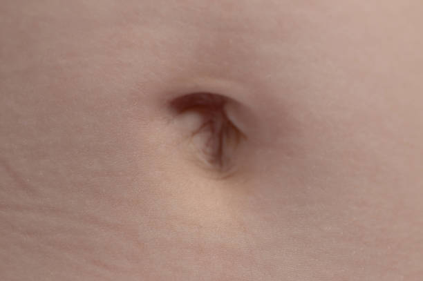 ludzki pępek - belly button zdjęcia i obrazy z banku zdjęć