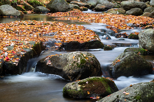 Stream at Screw Augur Falls, Grafton Notch State Park, Maine, USA