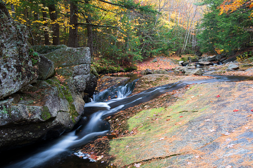Stream in Grafton Notch State Park, Maine, USA