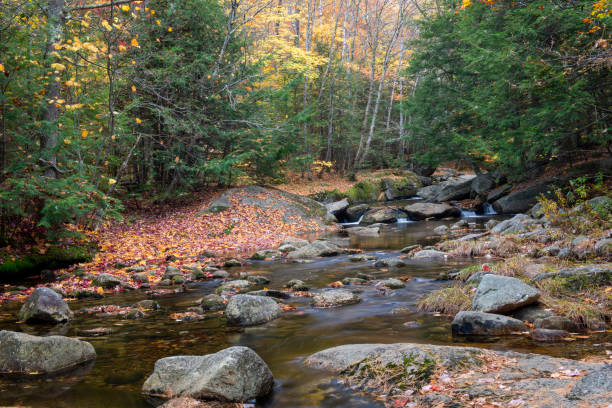 istock Stream in Grafton Notch State Park 1422063753