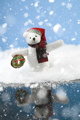 Christmas card with polar bear by the water edge